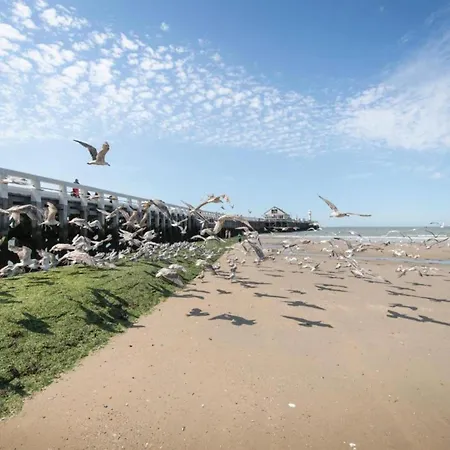 In Near Belgium Pier Blankenberge