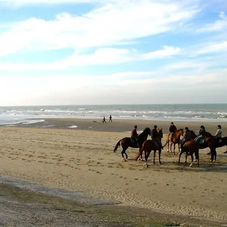 In Near Belgium Pier * Blankenberge