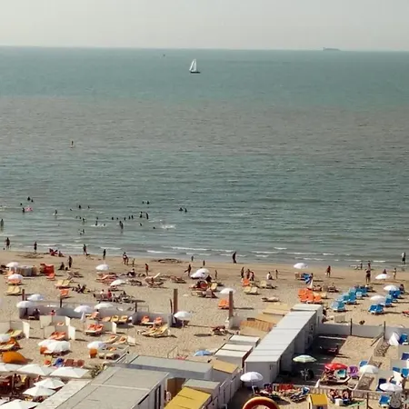 In Near Belgium Pier * Blankenberge