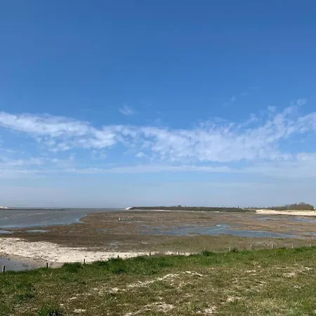 In Near Belgium Pier Appartement *