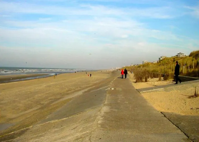 In Near Belgium Pier Daire *