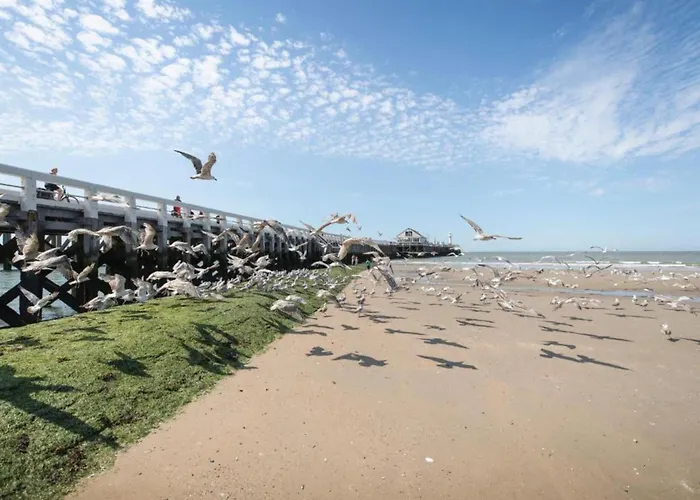 In Near Belgium Pier Blankenberge