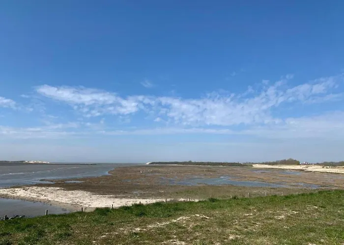 In Near Belgium Pier Daire *